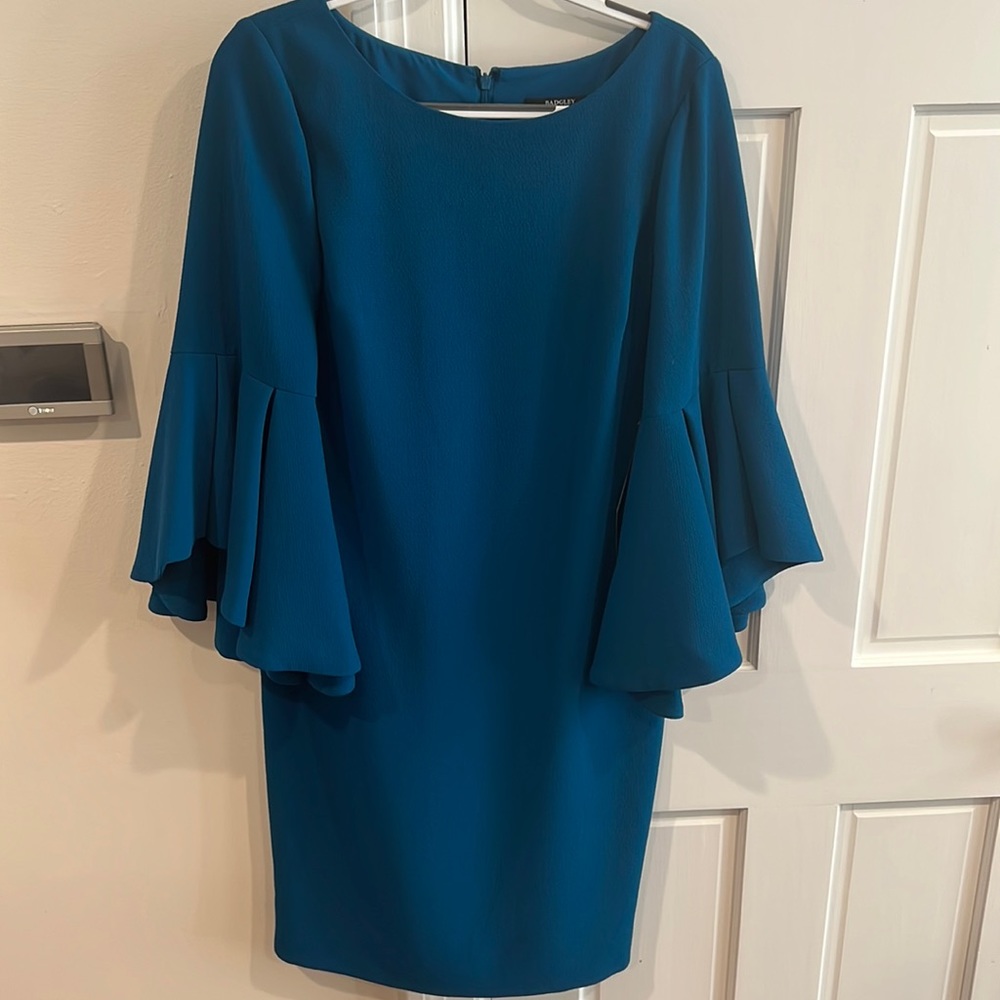 Blue statement sleeve BRAND NEW dress